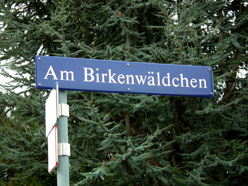 2021-01-19 Am Birkenwäldchen, Dresden 01