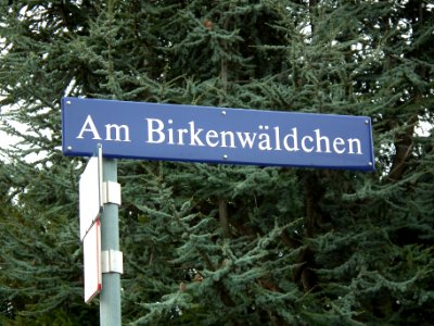 2021-01-19 Am Birkenwäldchen, Dresden 01