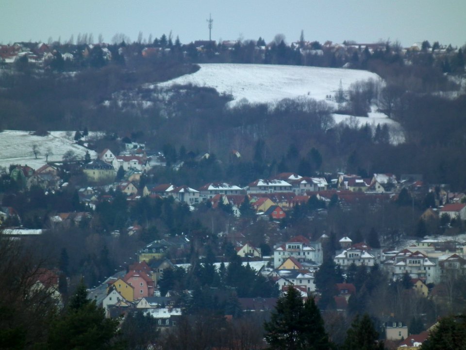2021-01-19 Am Birkenwäldchen, Dresden 07