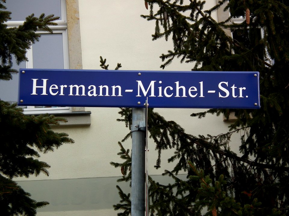 2021-01-19 Hermann-Michel-Straße, Dresden 08