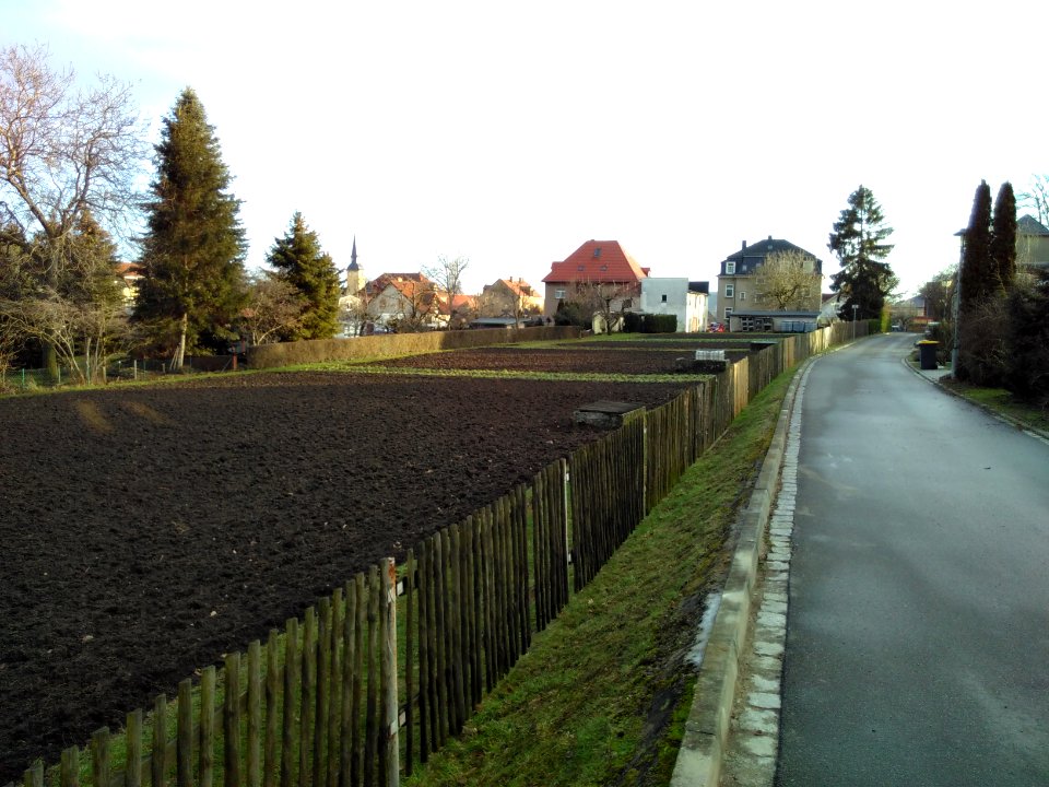 2021-02-04 Pesterwitz 03