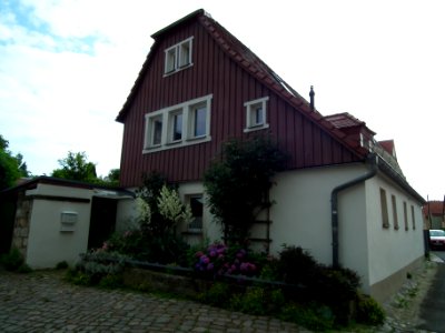 2021-07-10 Altlaubegast 07