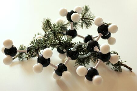 Aromatherapy aroma chemistry cedar