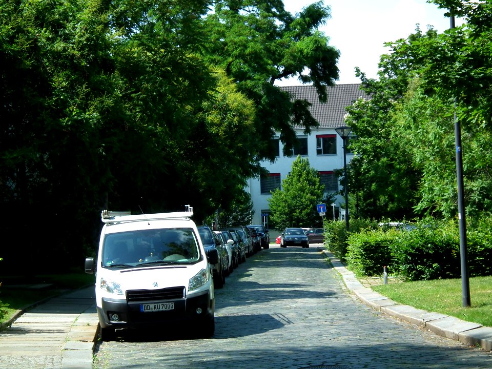 2021-07-03 Röhrhofsgasse, Dresden 08