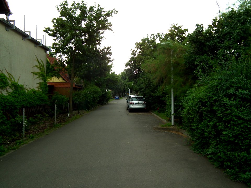 2021-07-10 Hermann-Krone-Straße, Dresden 04