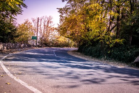 Trees path road in the mountains photo