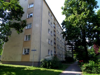 2021-07-03 Liliengasse, Dresden 06