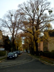 2020-11-21 Klettestraße, Dresden 05