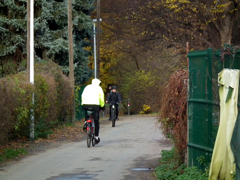 2020-11-21 Laubegaster Weg, Dresden 03