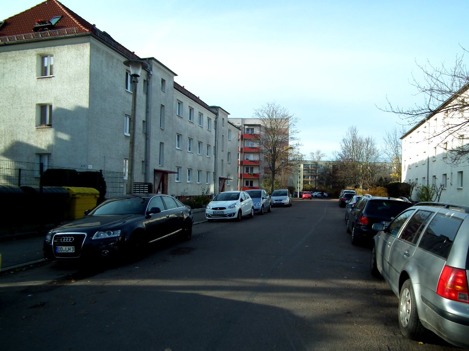 2020-11-21 Am Dahlienheim, Dresden 02