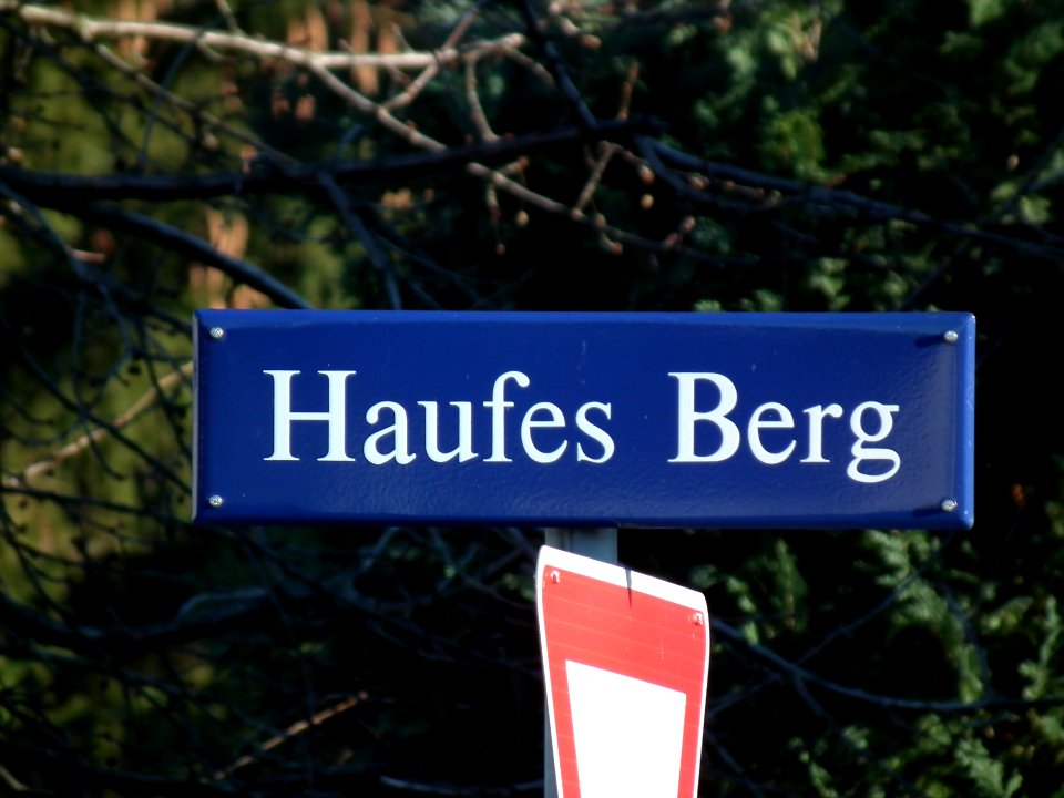 2020-12-30 Haufes Berg, Dresden 01