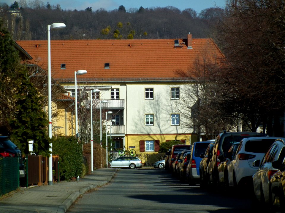 2021-03-06 Azaleenweg, Dresden 03
