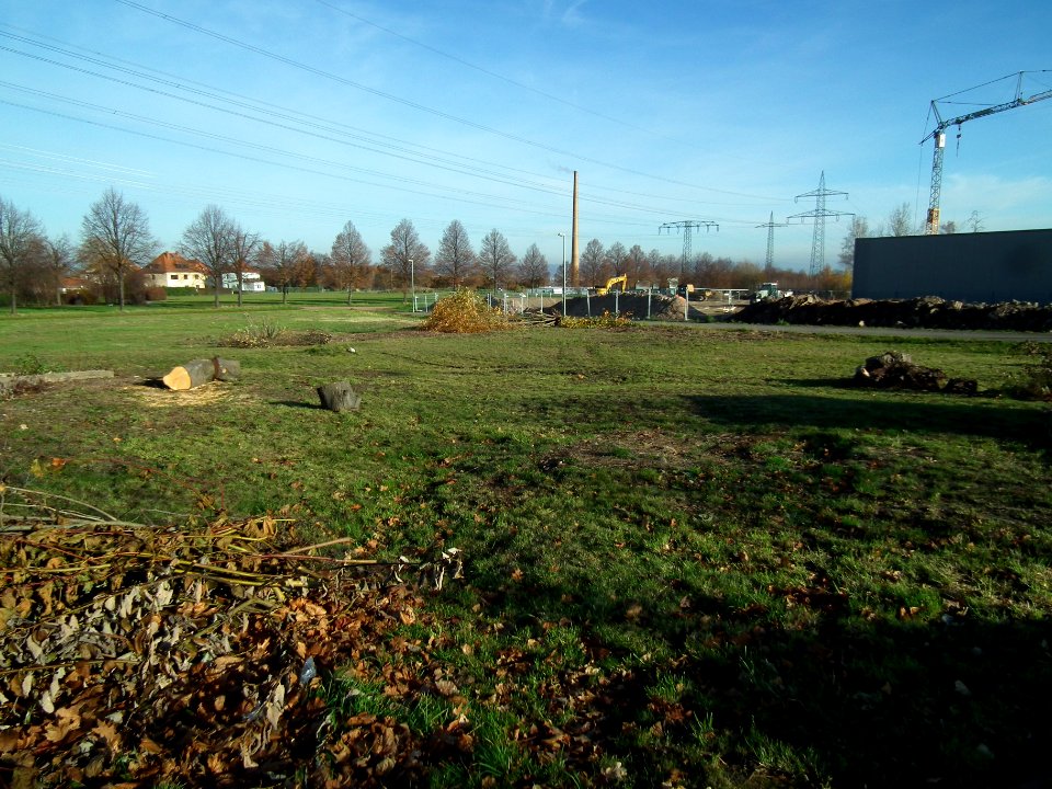 2020-11-24 Tübinger Straße, Dresden 19