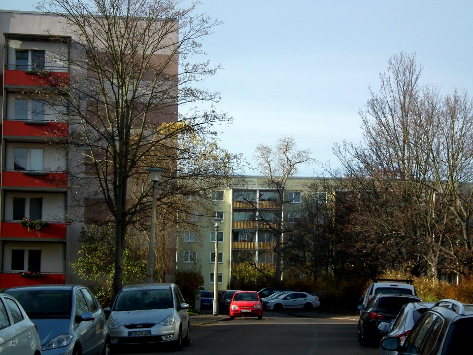2020-11-21 Am Dahlienheim, Dresden 03