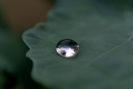 Sky clouds leaf