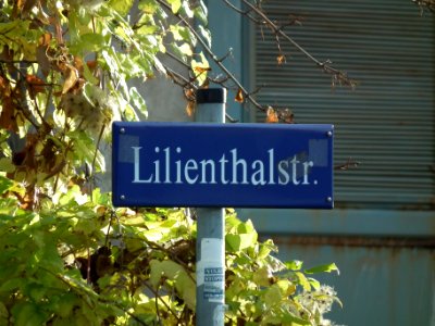 2020-11-21 Lilienthalstraße, Dresden 07