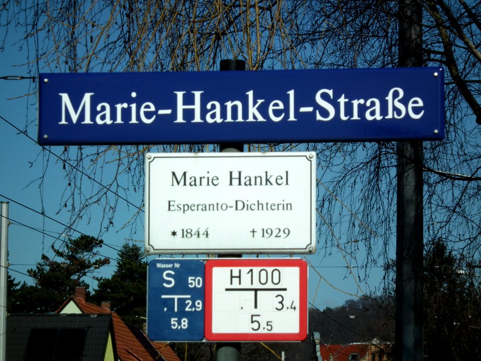 2021-03-06 Marie-Hankel-Straße, Dresden 01