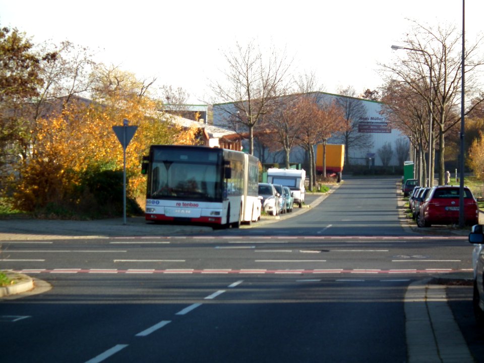 2020-11-24 Tübinger Straße, Dresden 23