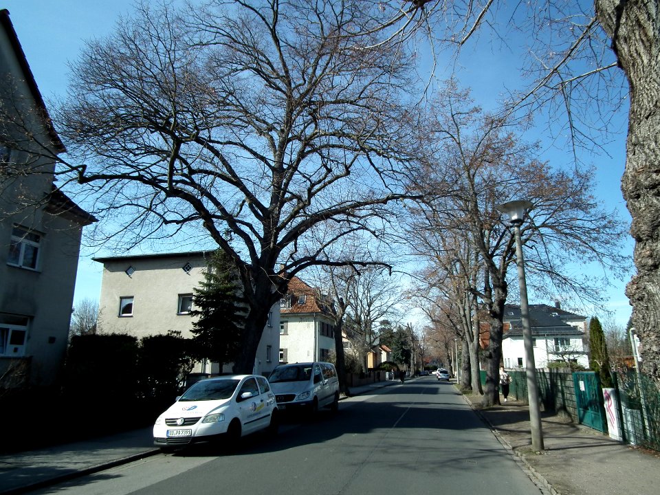 2021-03-06 Laibacher Straße, Dresden 06