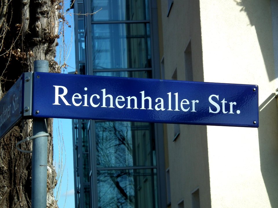 2021-03-06 Reichenhaller Straße, Dresden 01