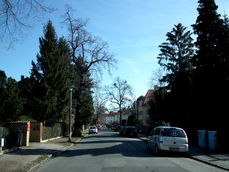 2021-03-06 Laibacher Straße, Dresden 07