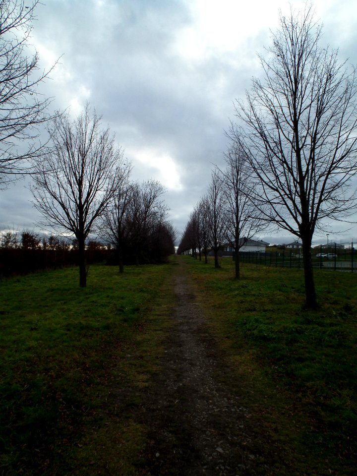2020-12-26 Pesterwitz 01