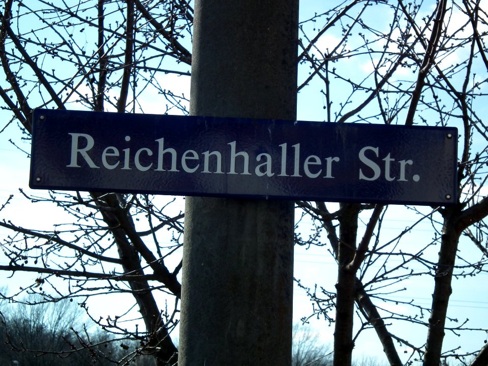 2021-03-06 Reichenhaller Straße, Dresden 06