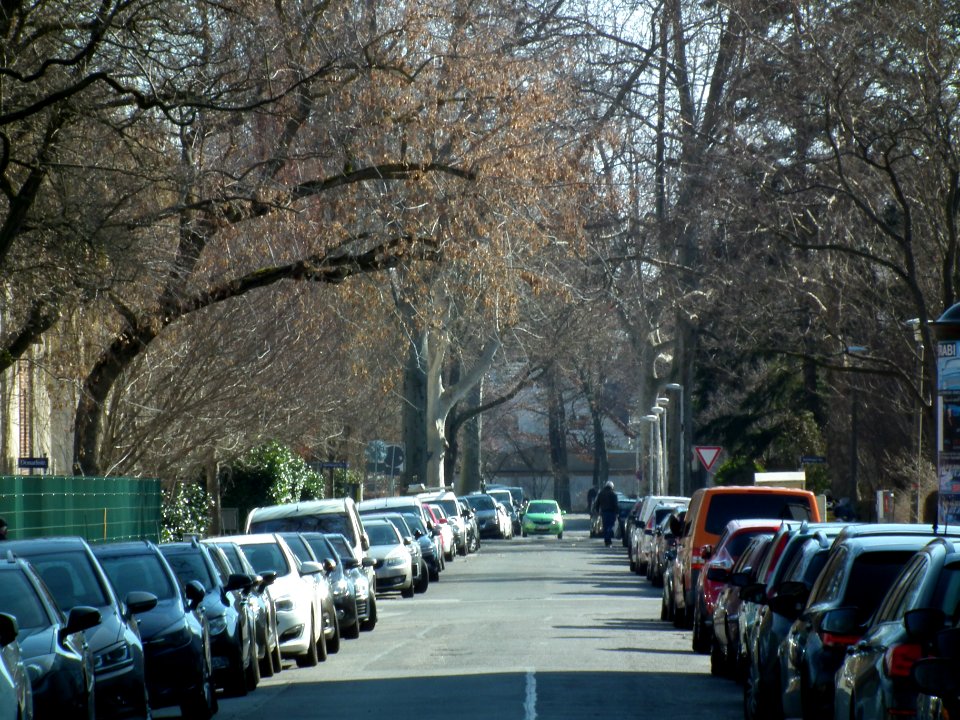 2021-03-06 Steirische Straße, Dresden 03