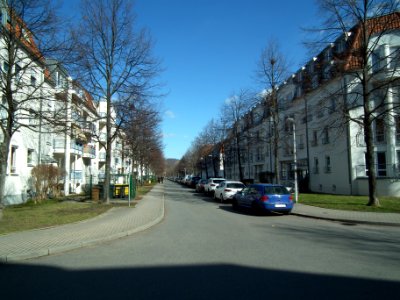 2021-03-06 Kamelienweg, Dresden 01