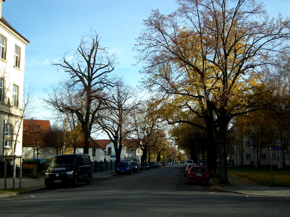 2020-11-21 Hertzstraße, Dresden 03