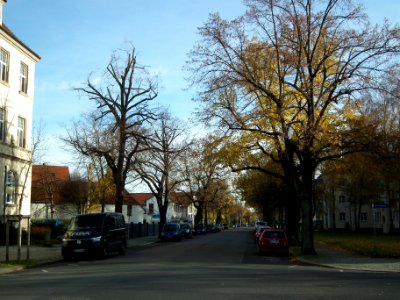 2020-11-21 Hertzstraße, Dresden 03