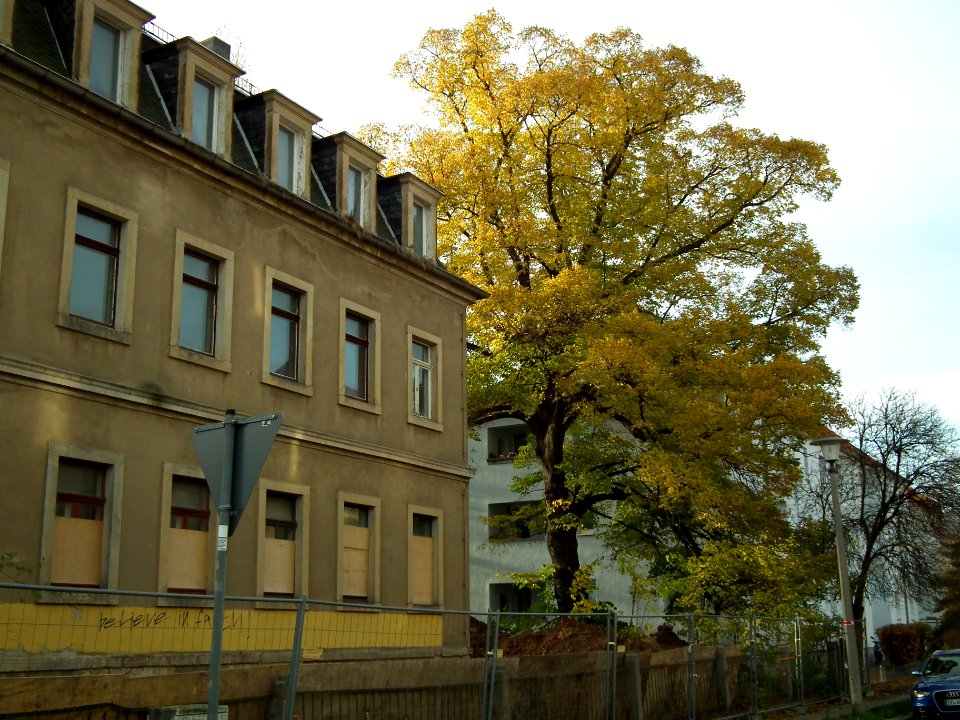 2020-11-21 Guerickestraße, Dresden 09