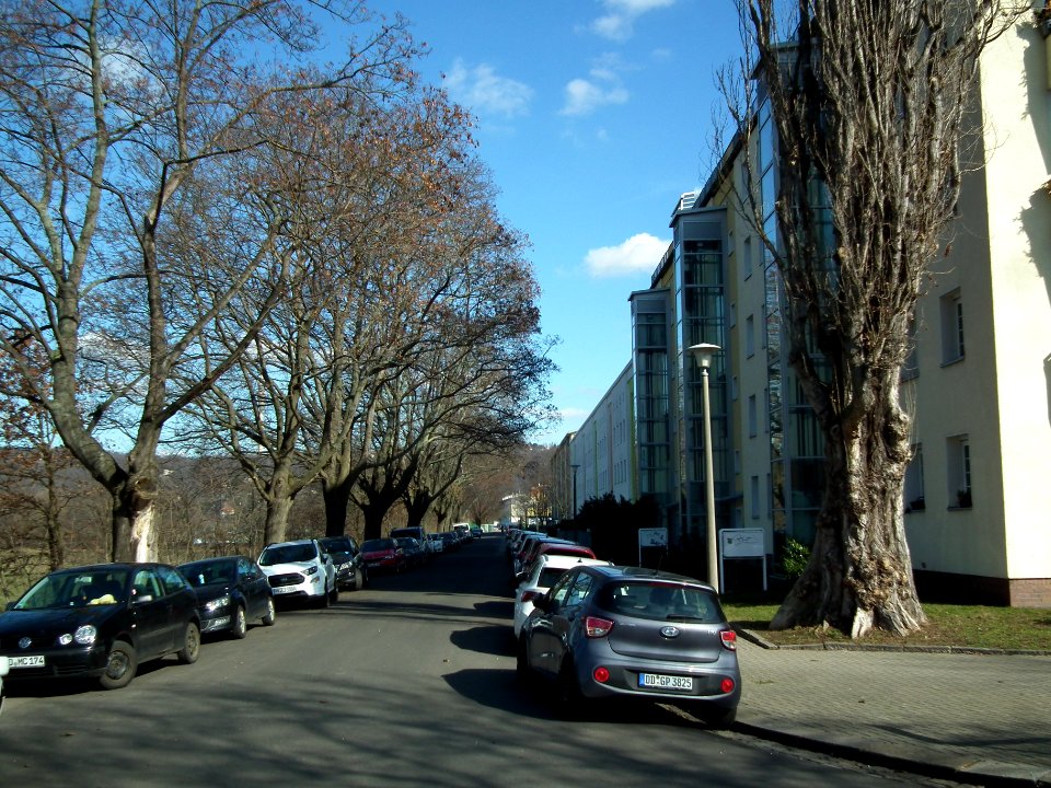 2021-03-06 Berchtesgadener Straße, Dresden 11