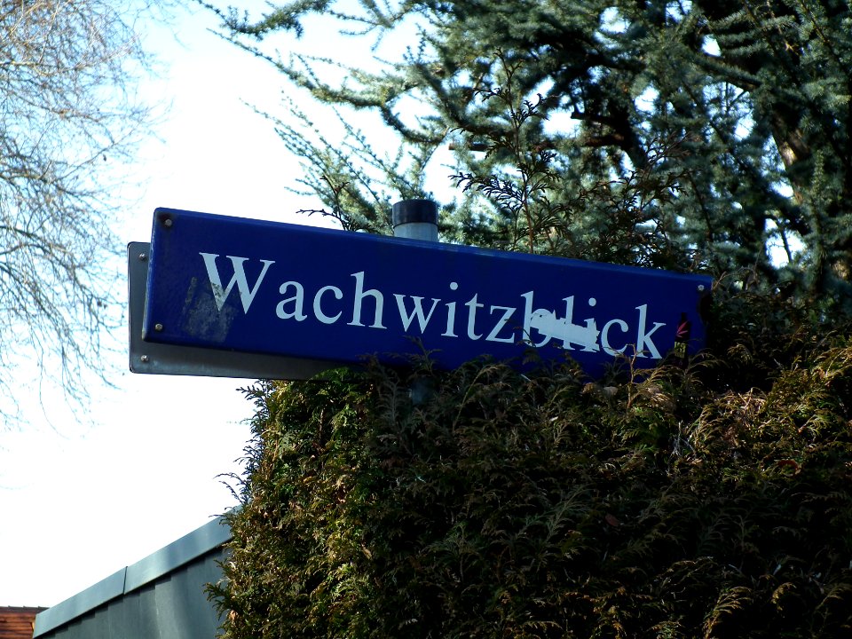 2021-03-06 Wachwitzblick, Dresden 01