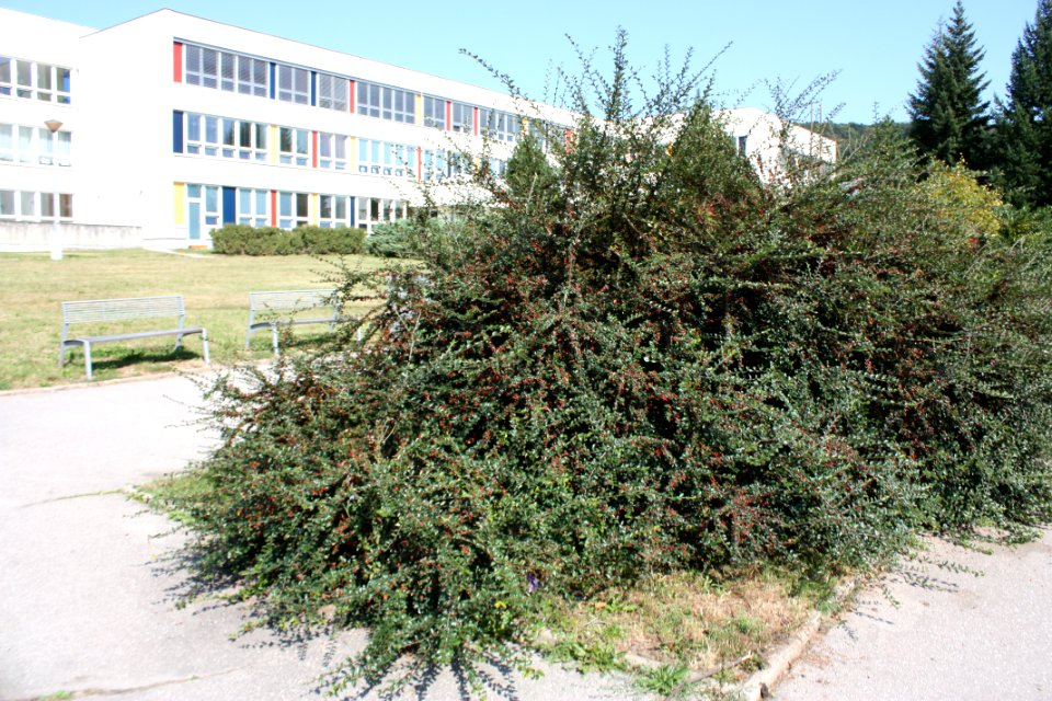 3.díl html m14d72889