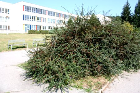 3.díl html m14d72889