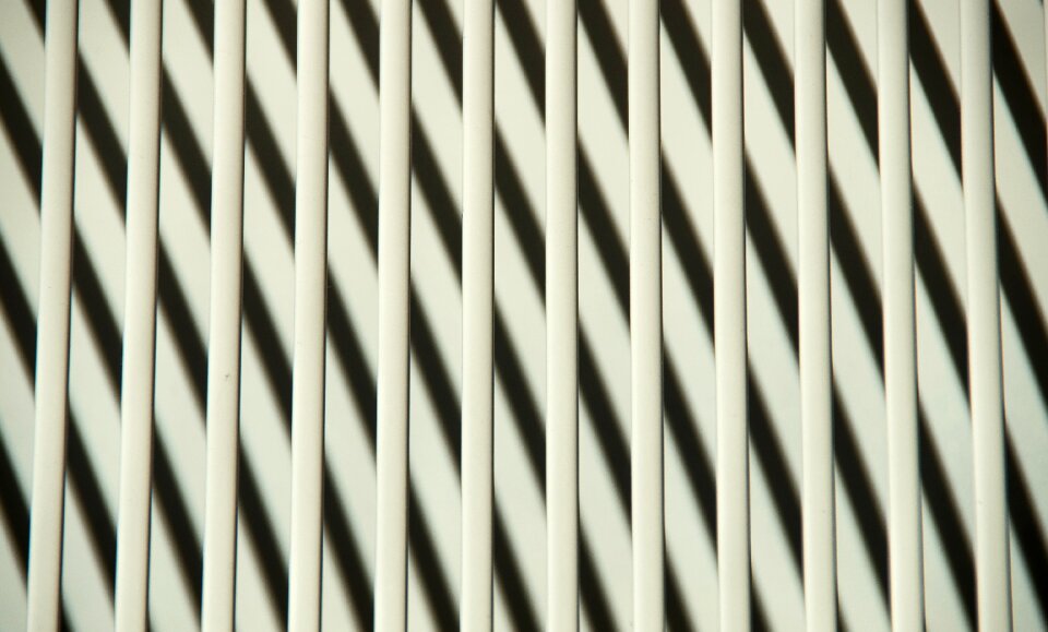 Lines white crossing