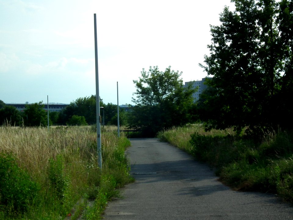 2021-07-10 Seefelder Weg, Dresden 02