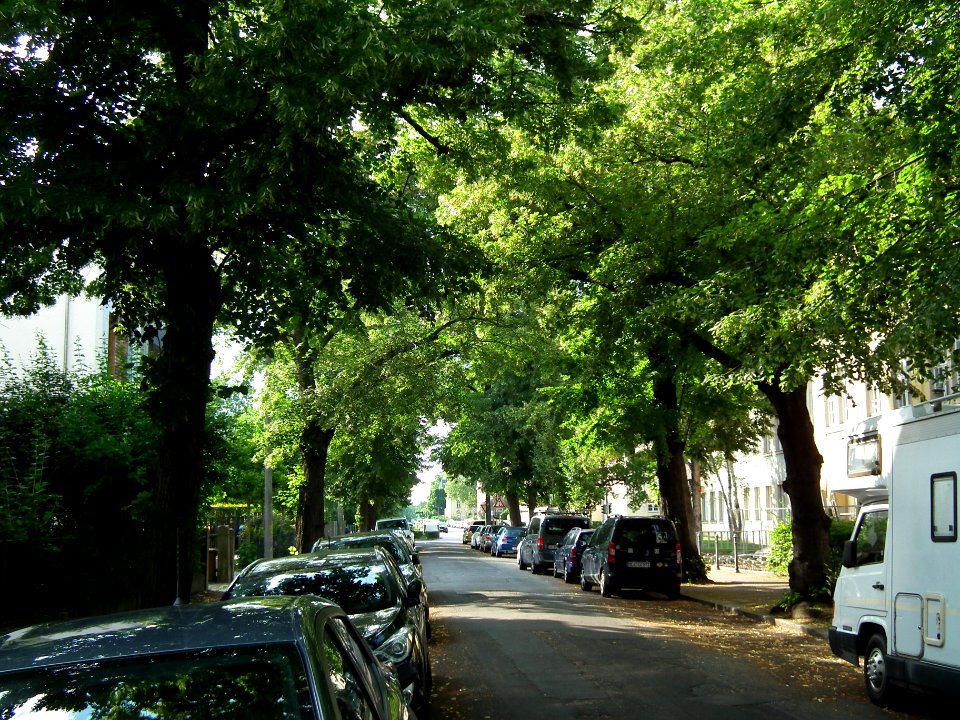 2021-07-10 Linzer Straße, Dresden 05
