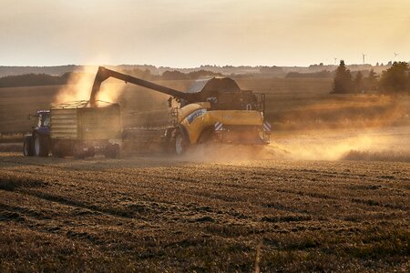 Harvest oilseed rape combine harvester