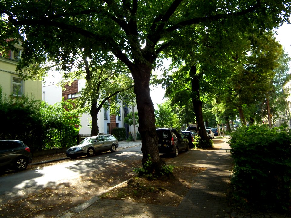 2021-07-10 Linzer Straße, Dresden 08