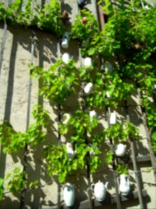 2020-06-26 Leuchtenburg 218
