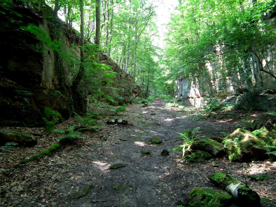 2020-07-18 Cottaer Tunnel, 07