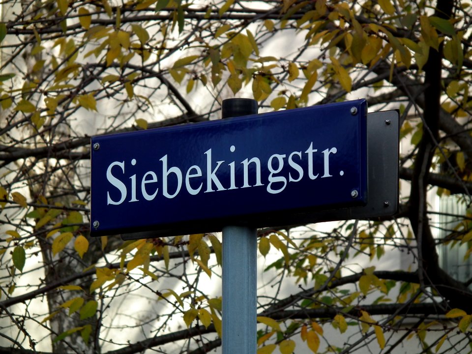 2020-11-14 Siebekingstraße, Dresden 01