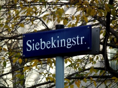 2020-11-14 Siebekingstraße, Dresden 01