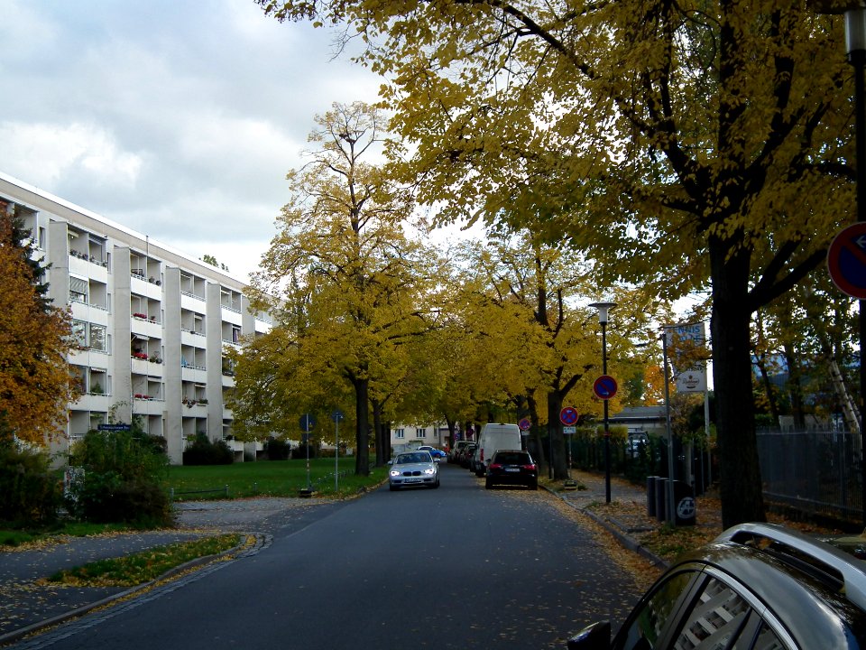 2020-10-24 Hepkestraße, Dresden 02