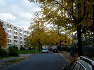 2020-10-24 Hepkestraße, Dresden 02