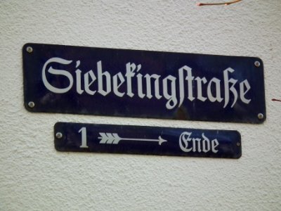 2020-11-14 Siebekingstraße, Dresden 05
