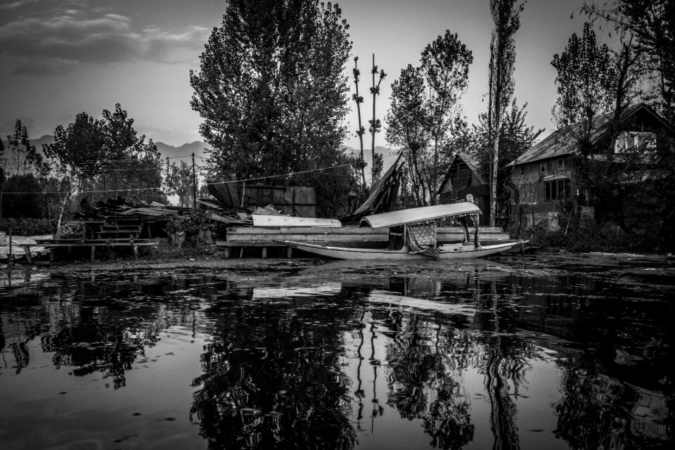 Wallpaper black and white kashmir