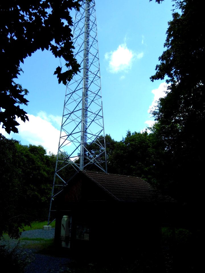 2020-07-18 Cottaer Spitzberg 83